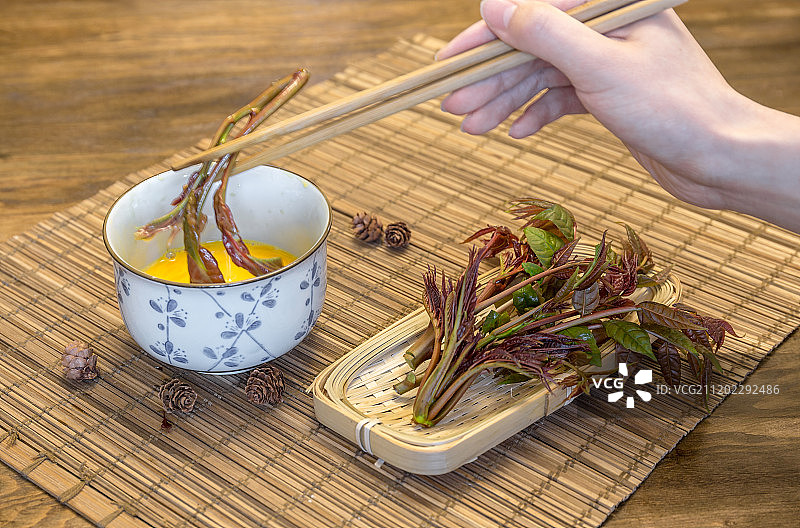 香椿食材图片素材