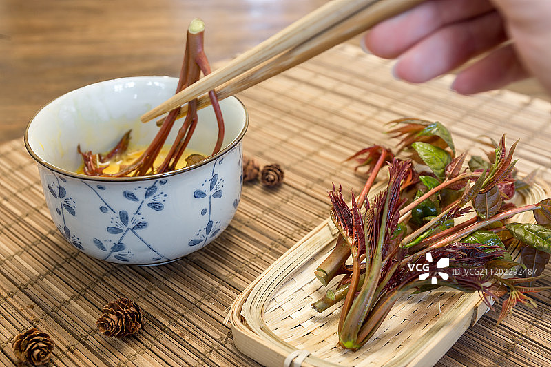 香椿食材图片素材