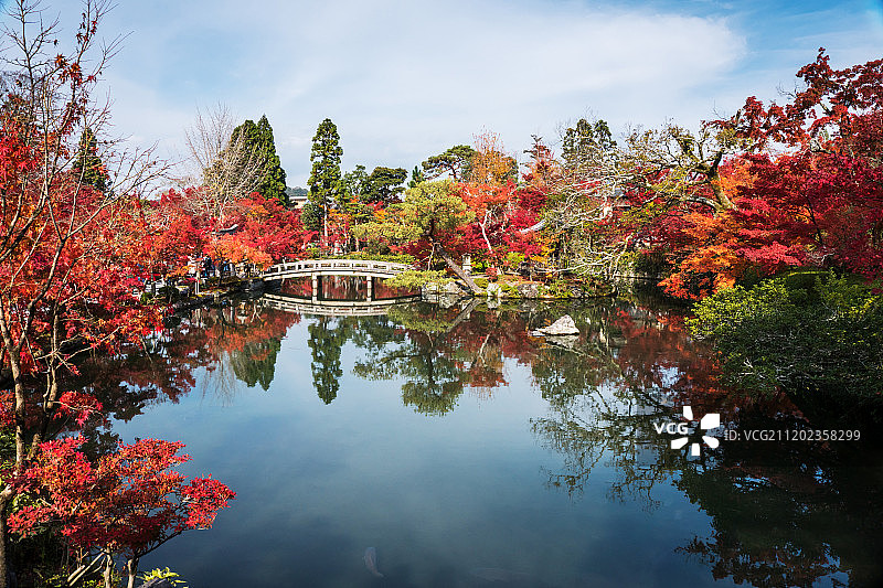京都永观堂禅林寺图片素材