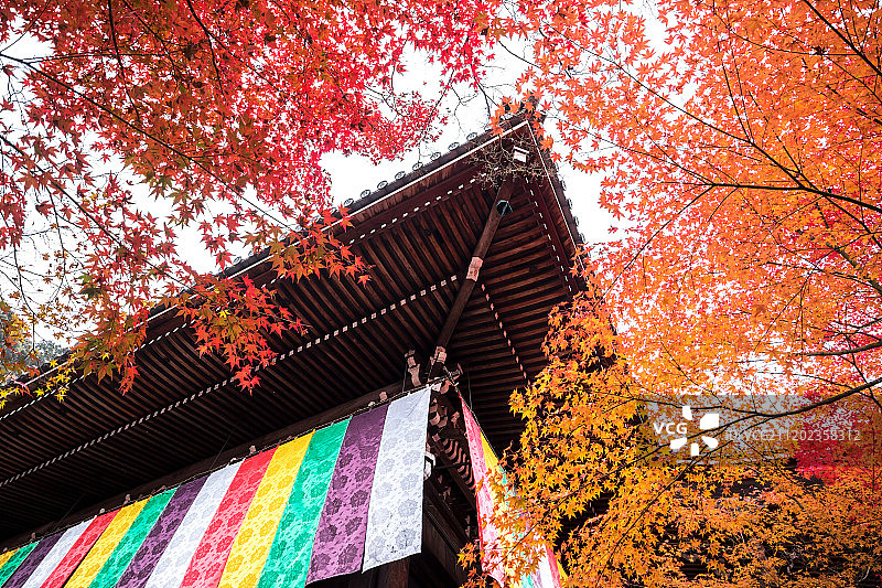 京都永观堂禅林寺图片素材