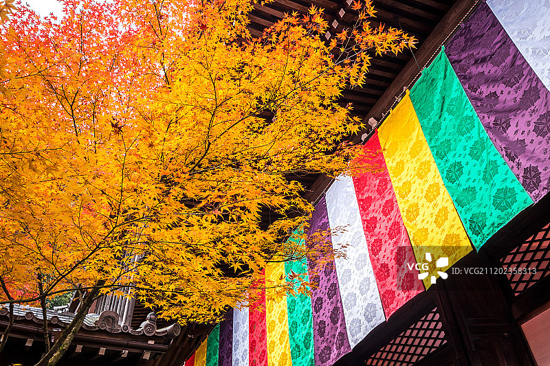 京都永观堂禅林寺图片素材