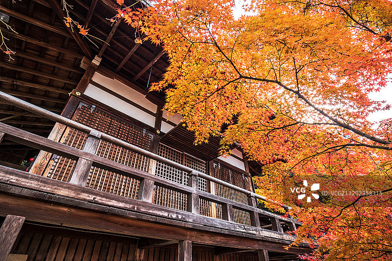 京都永观堂禅林寺图片素材