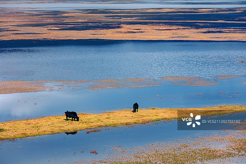云南纳帕海风光图片素材