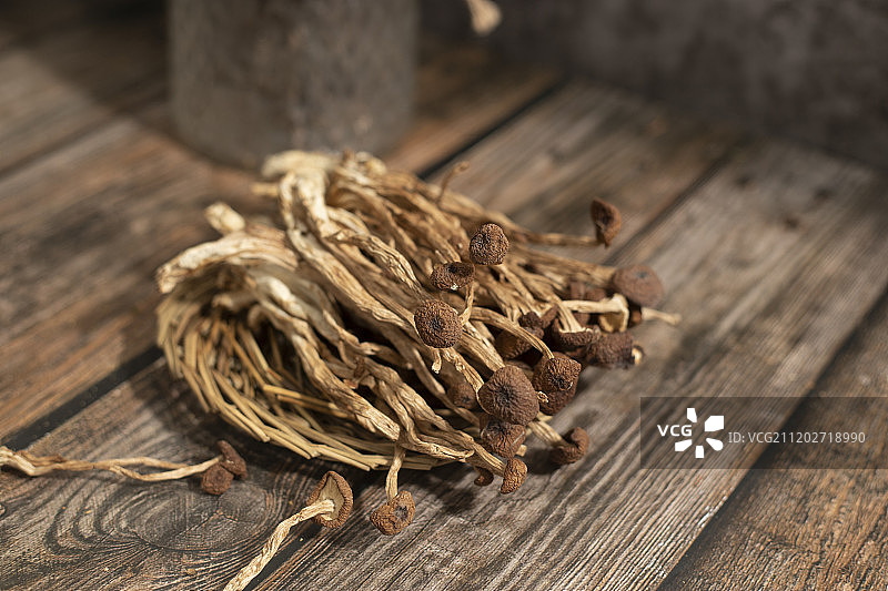 茶树菇图片素材