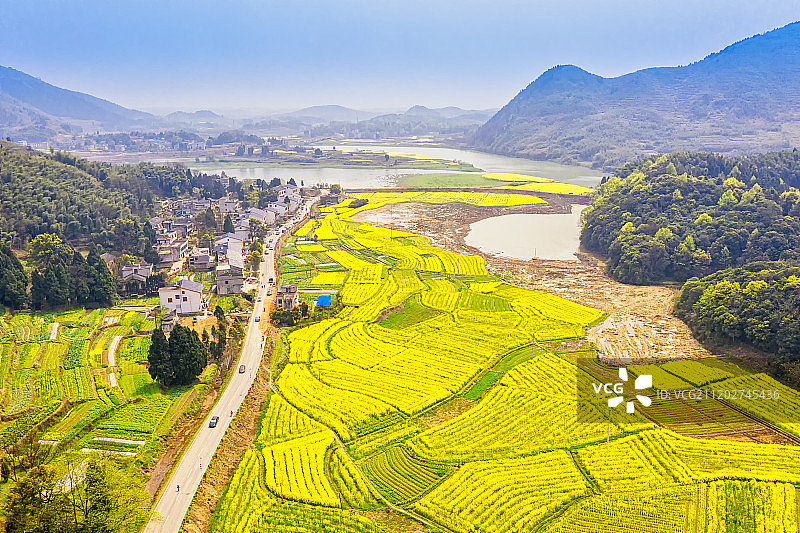 湖北咸宁隽水河万亩油菜花海图片素材