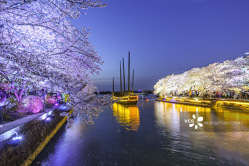 鼋头渚夜樱灯光秀图片素材