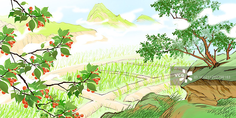 古典水墨画24节气小满樱桃成熟稻谷饱满图片素材