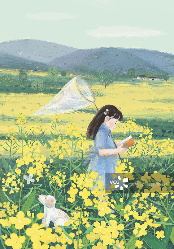 油菜花田图片素材