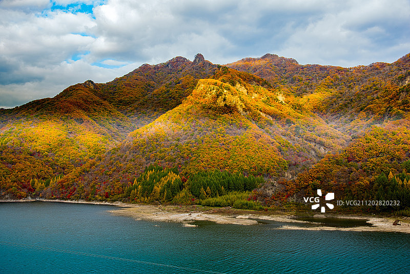 秋天金色的山林图片素材
