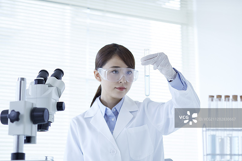 在实验室里的年轻日本研究员图片素材