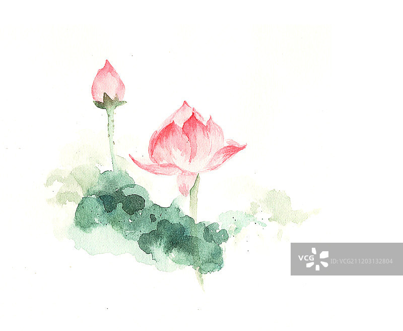 夏日水彩荷花图片素材