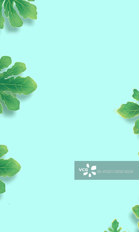 西瓜叶子的夏日图片素材