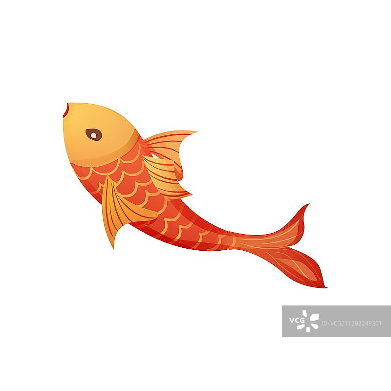 红色带金色纹理的鲤鱼图片素材