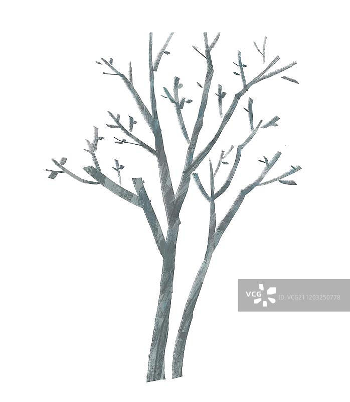 冬天的两棵树图片素材