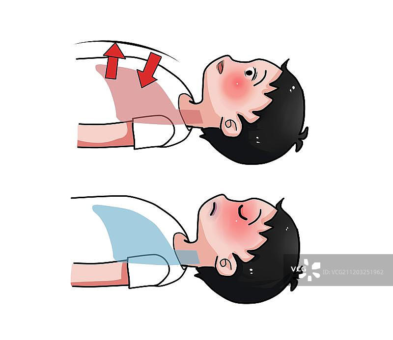 心肺示意图图片素材