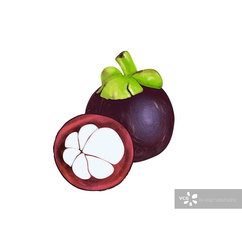 新鲜好吃的山竹图片素材