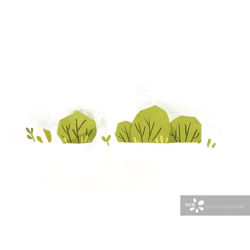 灌木丛图片素材