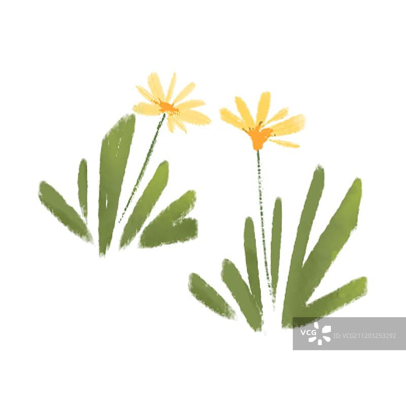 花丛图片素材