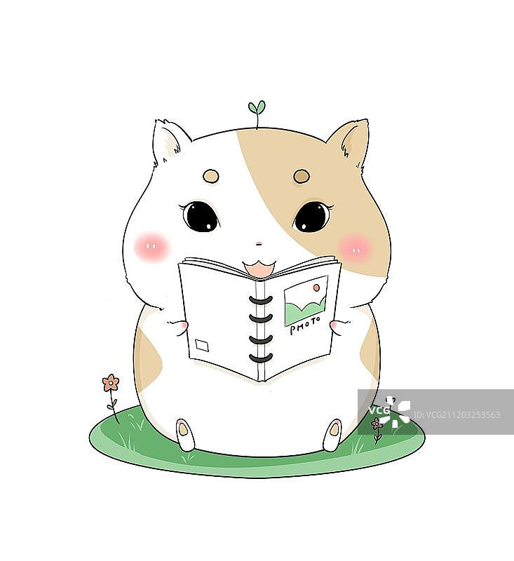 可爱的仓鼠图片素材