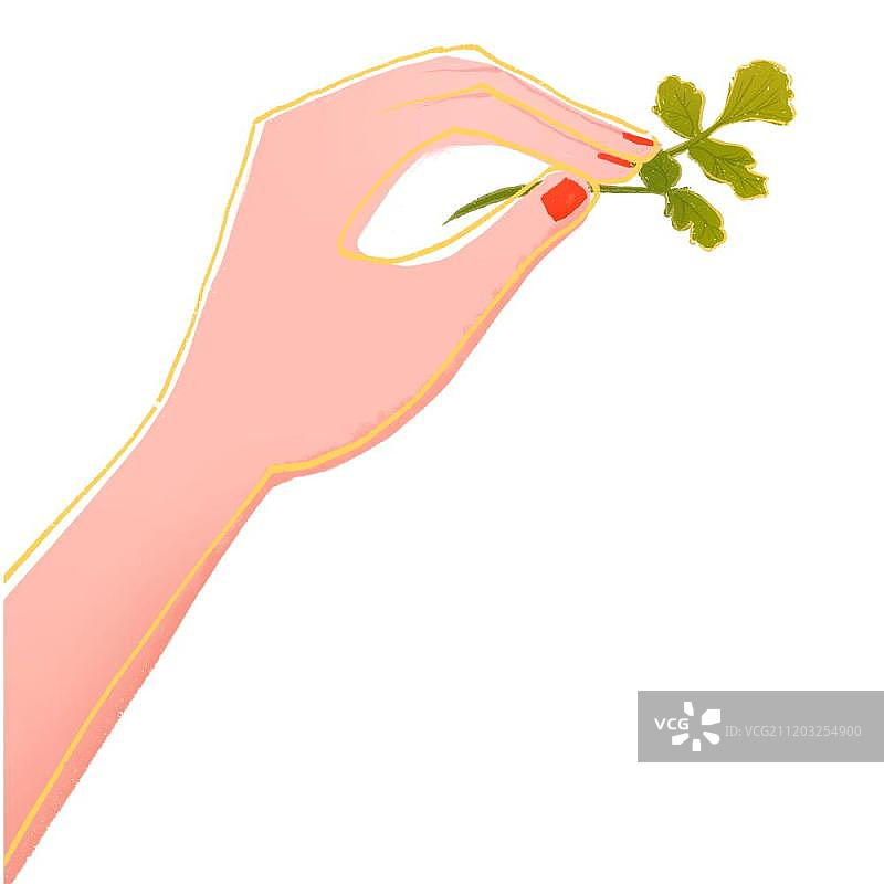 拿着叶子的手图片素材