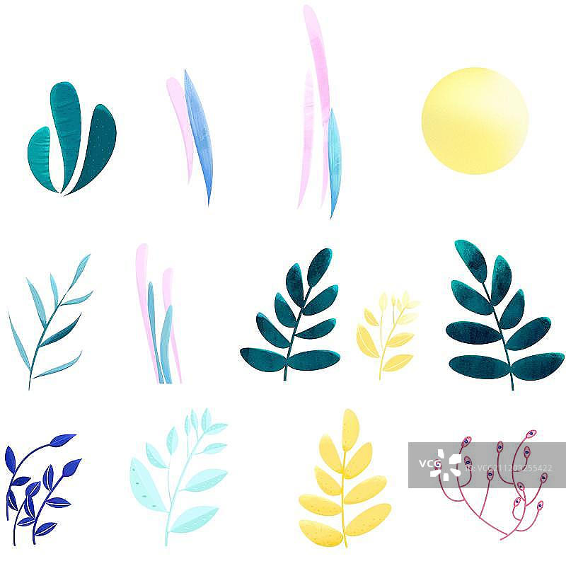 月亮与叶子图片素材