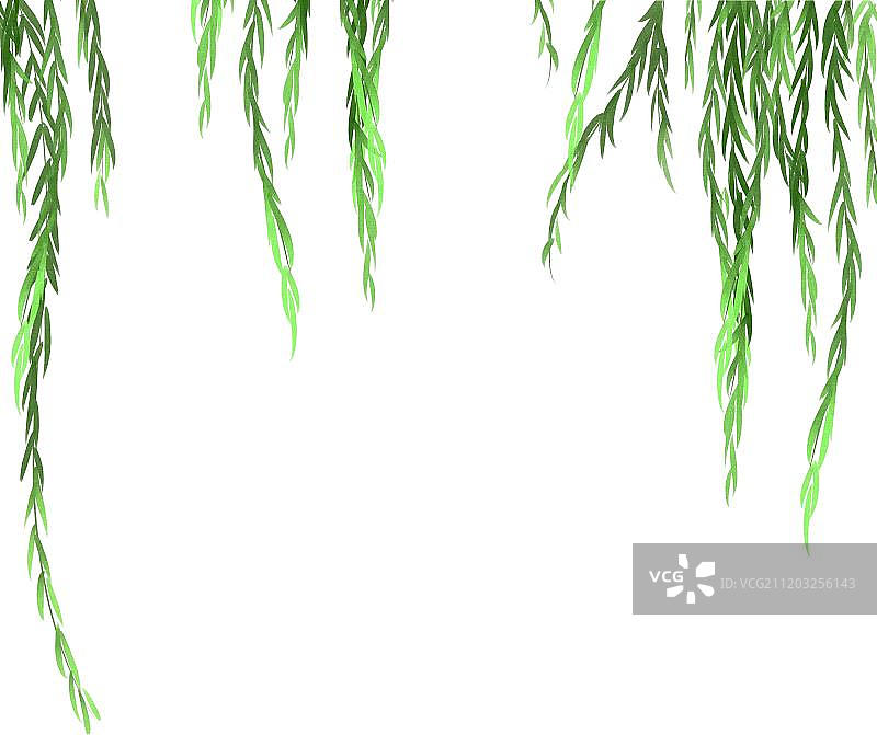 小清新风格柳树图片素材