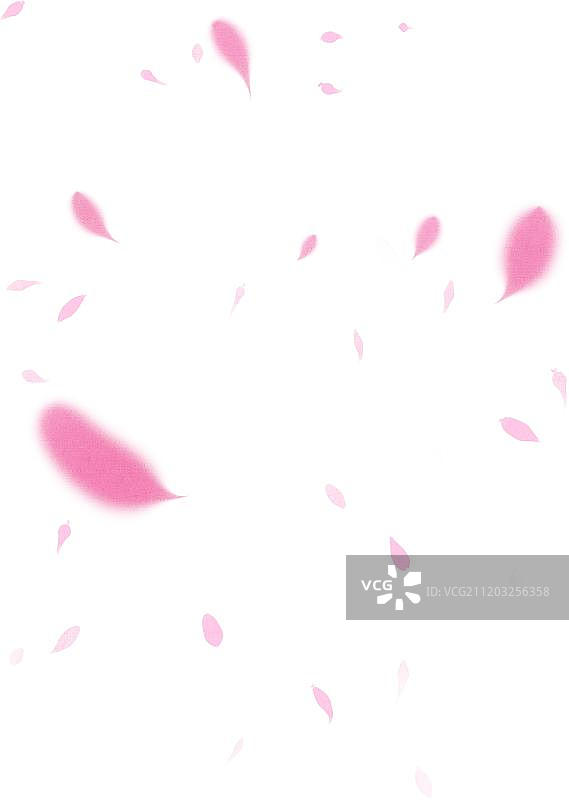 小清新风格花瓣飘落图片素材