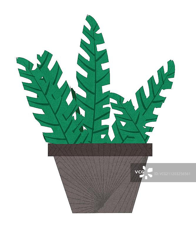 小清新风格盆景图片素材