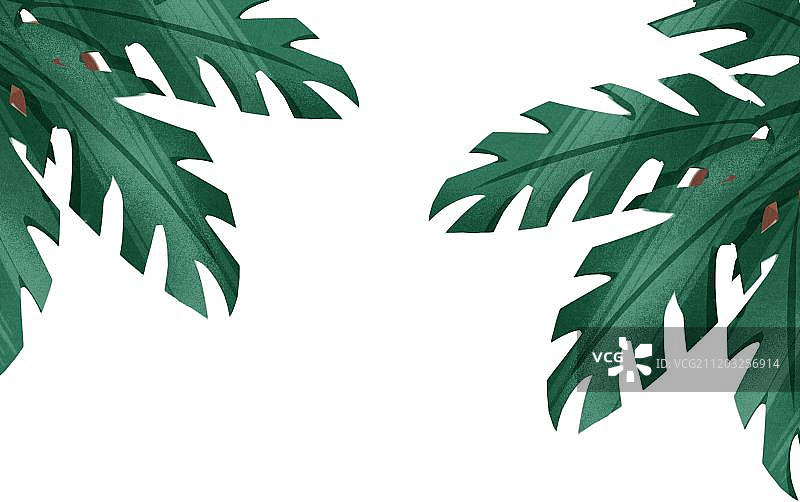 小清新风格热带树图片素材