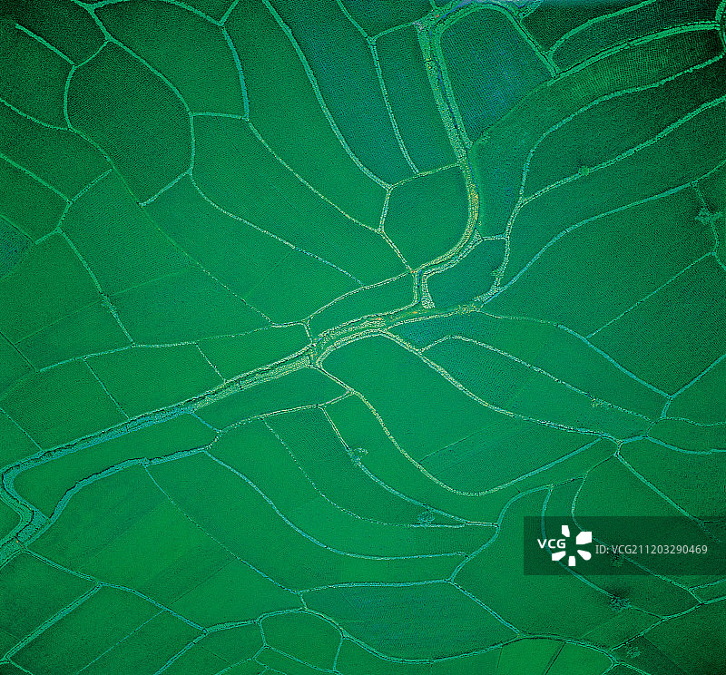 四川 什邡图片素材