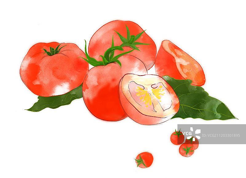 水彩画美味营养西红柿图片素材
