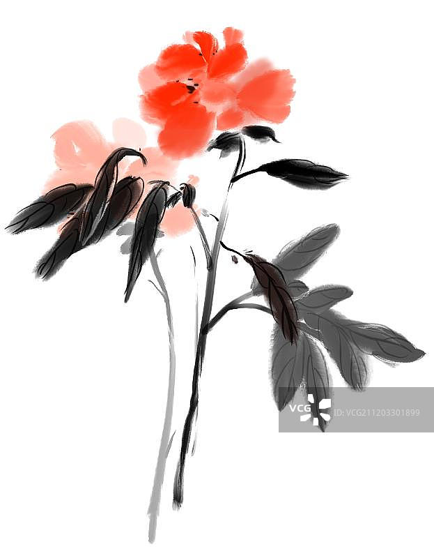 水墨画美丽牡丹花图片素材