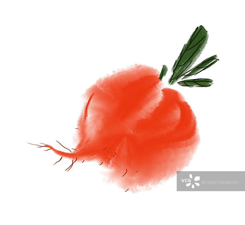 国画可口萝卜图片素材