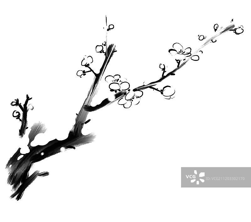 冬天雪中白梅花图片素材