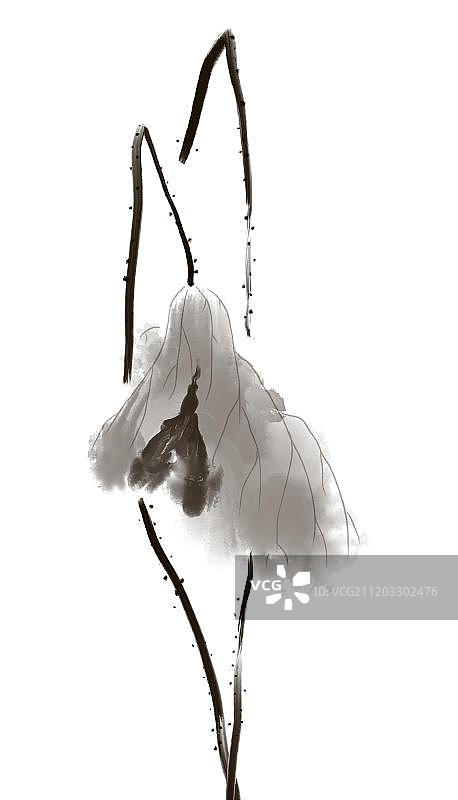 秋天枯萎的荷叶图片素材