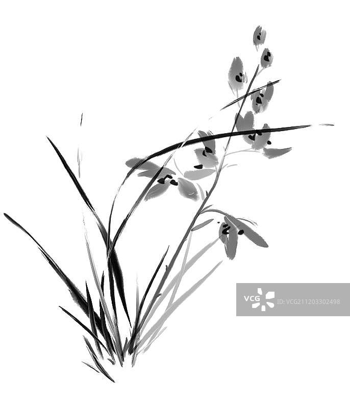 春天水墨画兰花图片素材