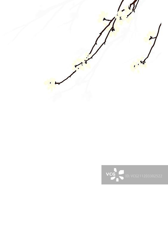 白色杏花飘落图片素材