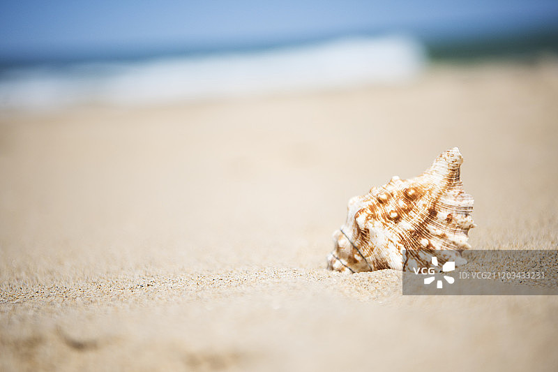 沙滩暑假图片素材