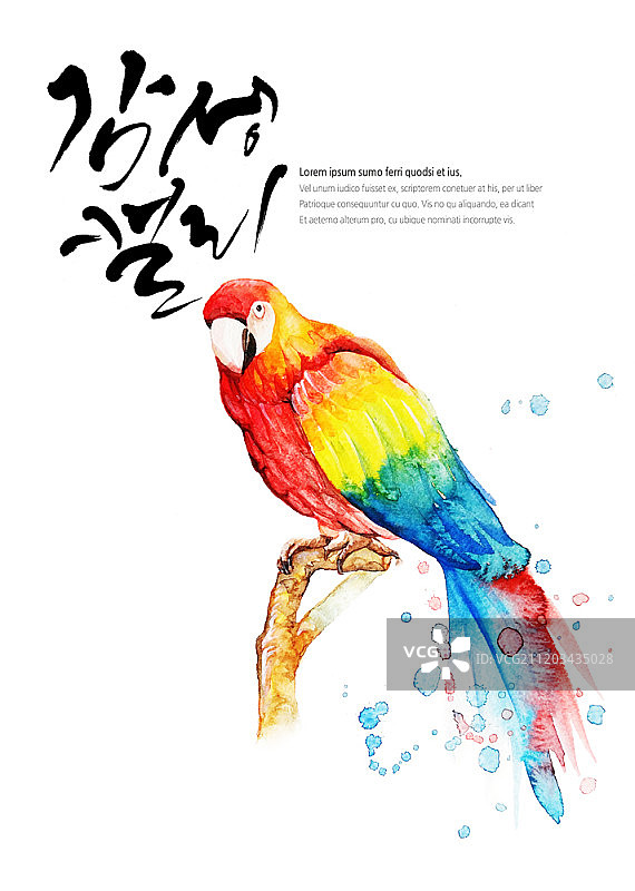水彩鹦鹉插画图片素材