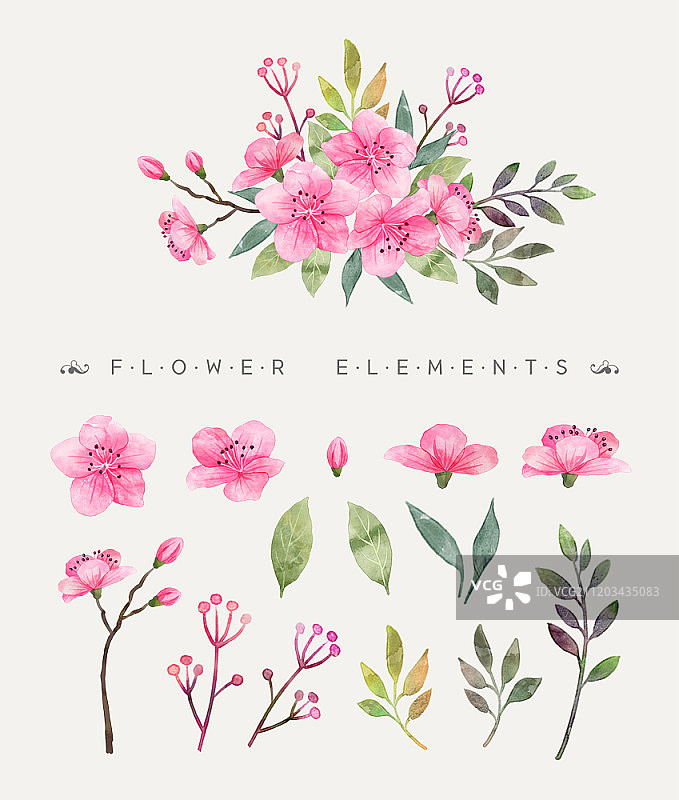 水彩花卉元素合集图片素材