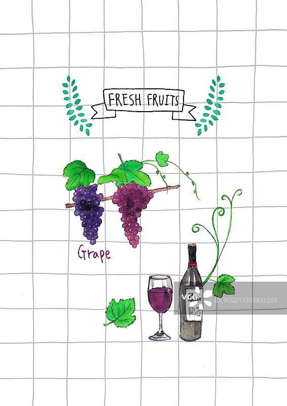 手绘新鲜水果合集图片素材