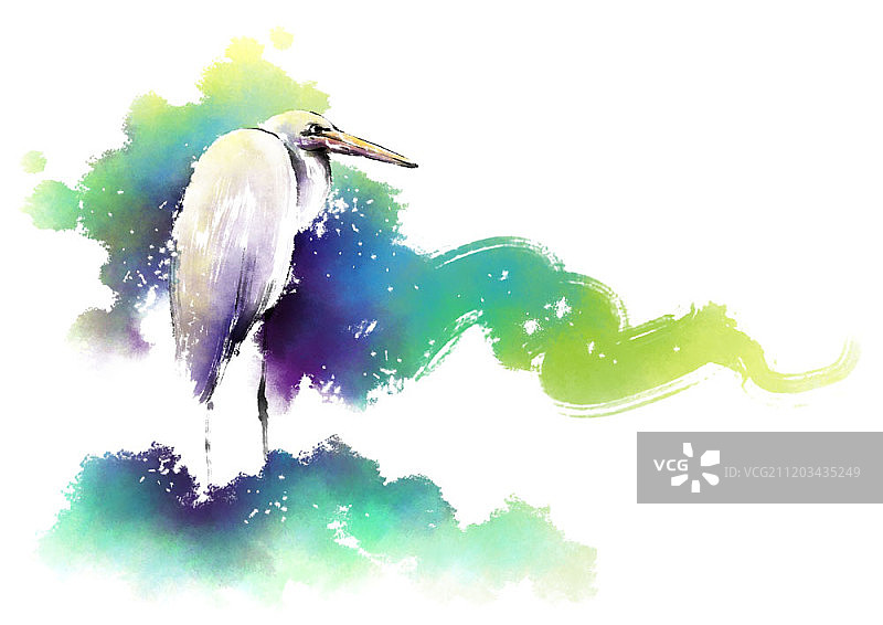 水彩鹭鸟插画图片素材