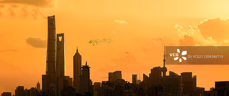 日落陆家嘴的剪影与一群惊鸟图片素材