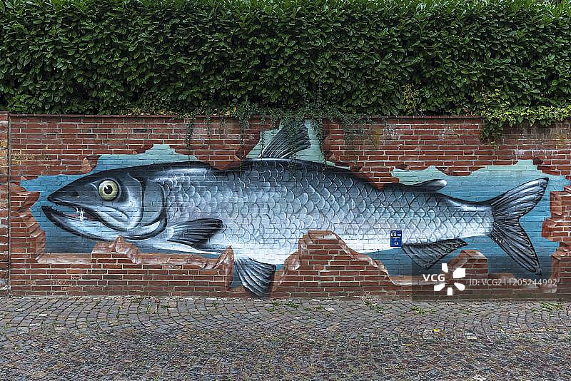 德国吕讷堡砖墙上的鱼类涂鸦图片素材