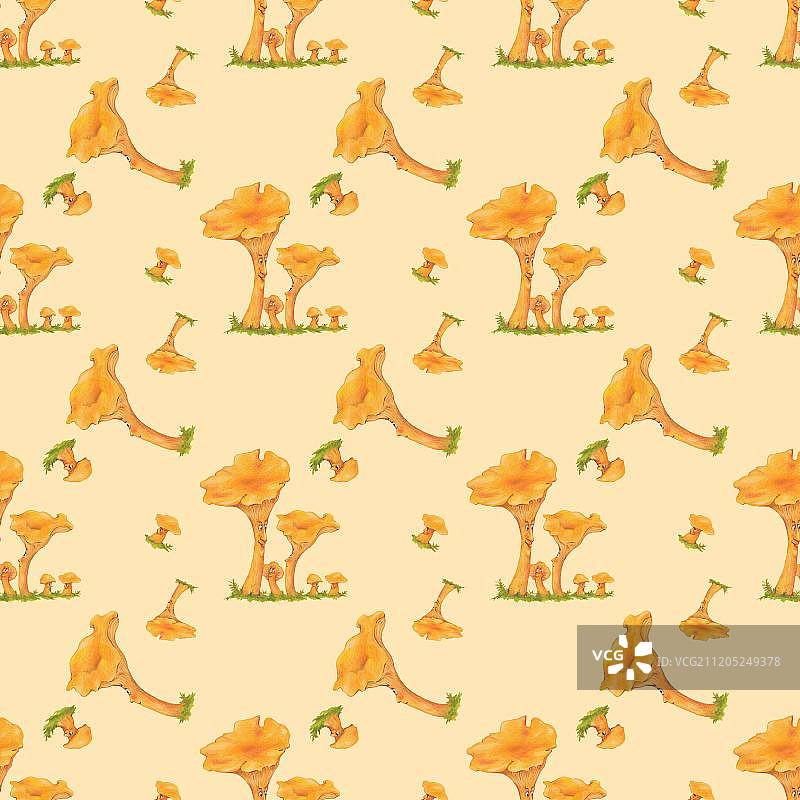 德国欧洲鸡油菌无缝图案包装纸壁纸图片素材