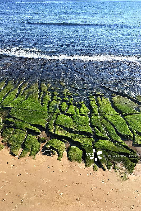 长满绿色苔藓的岩石和沙子，葡萄牙埃斯托里尔城市沙滩图片素材