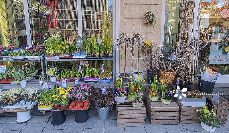 德国巴伐利亚慕尼黑春季花卉销售图片素材