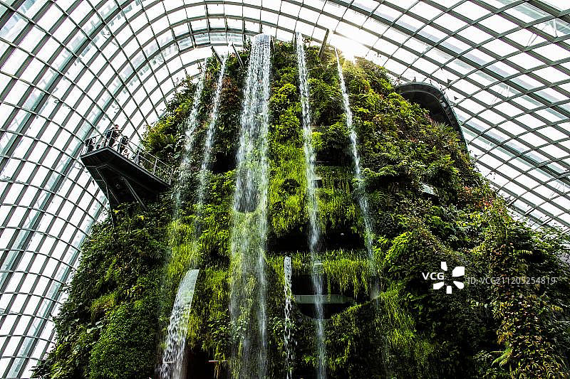 新加坡滨海湾花园云雾林图片素材