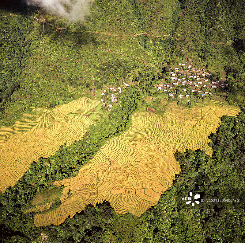 航拍 西藏 墨脱图片素材