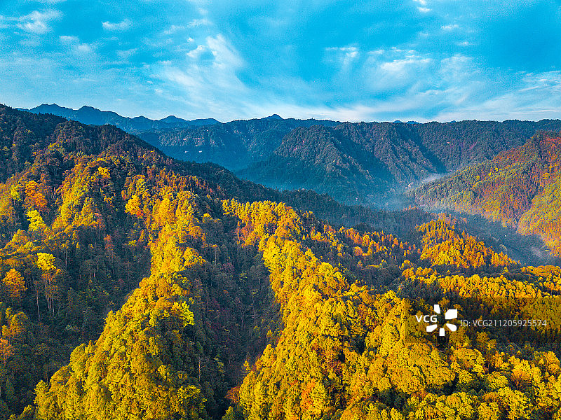 航拍重庆四面山原始森林图片素材